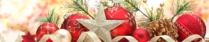 Encuesta de Navidad