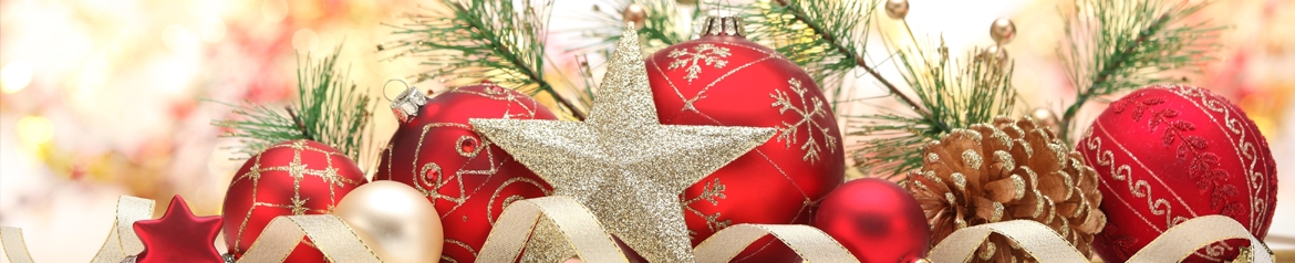 Encuesta de Navidad